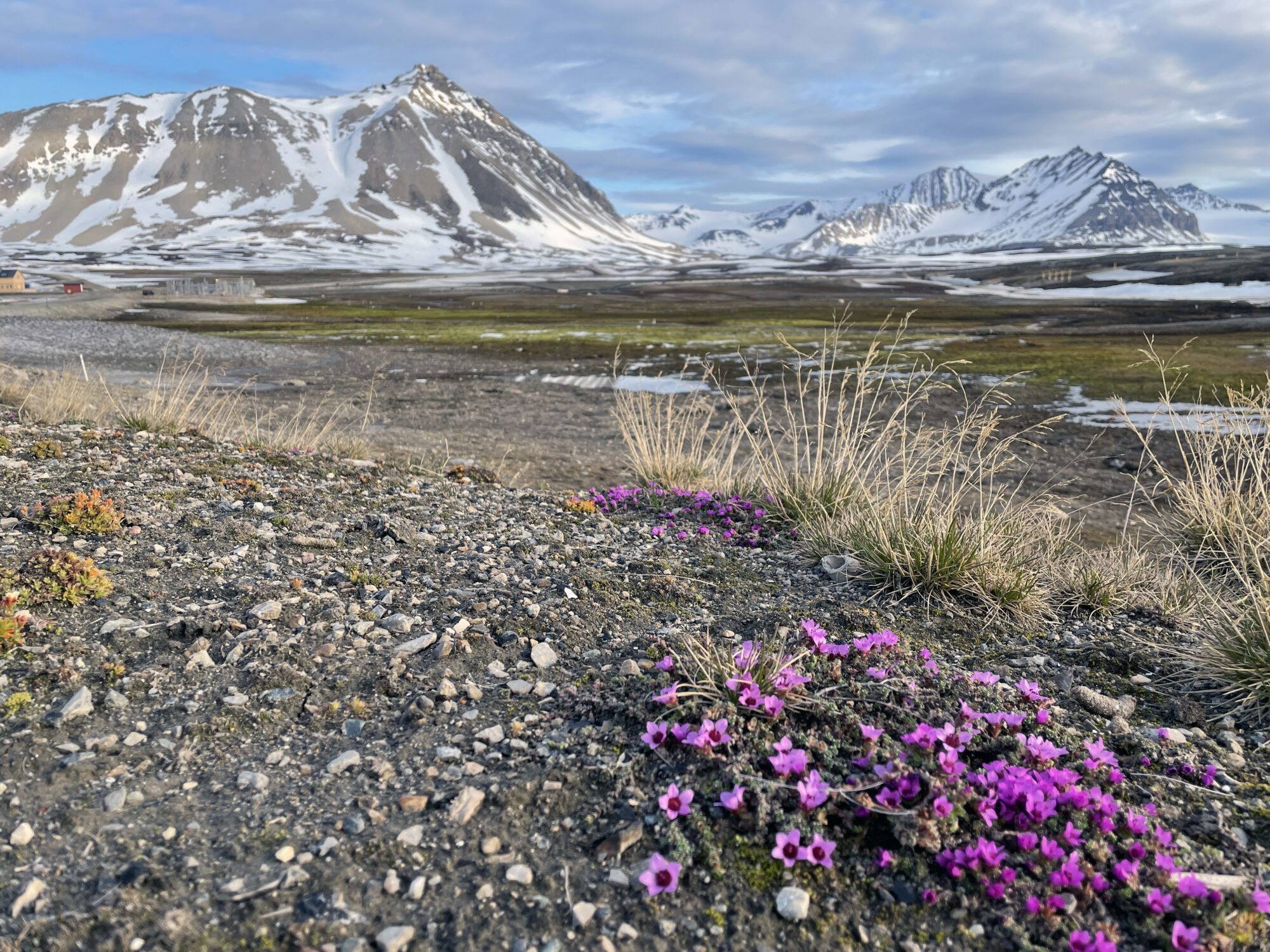 Going from workshops to research projects | Ny-Ålesund Research Station