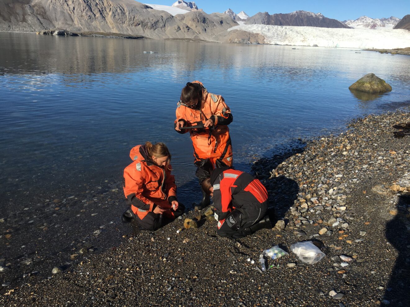Looking into microbial communities in the Arctic